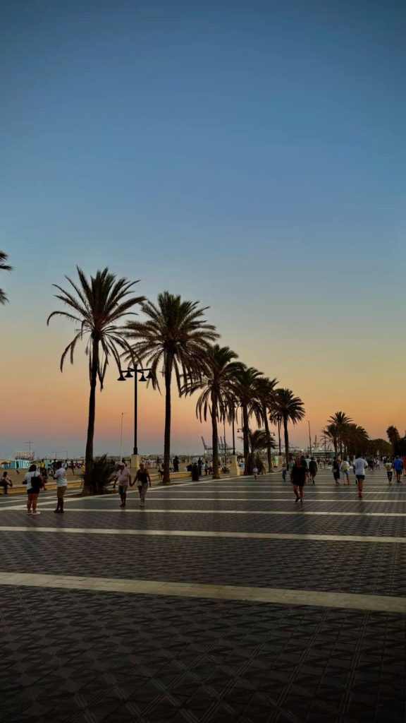 Promenade en bord de mer à Valence avec palmiers et coucher de soleil sur la plage