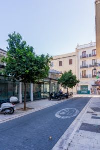 Duplex toit-terrasse centre historique Valence BuenApart 59