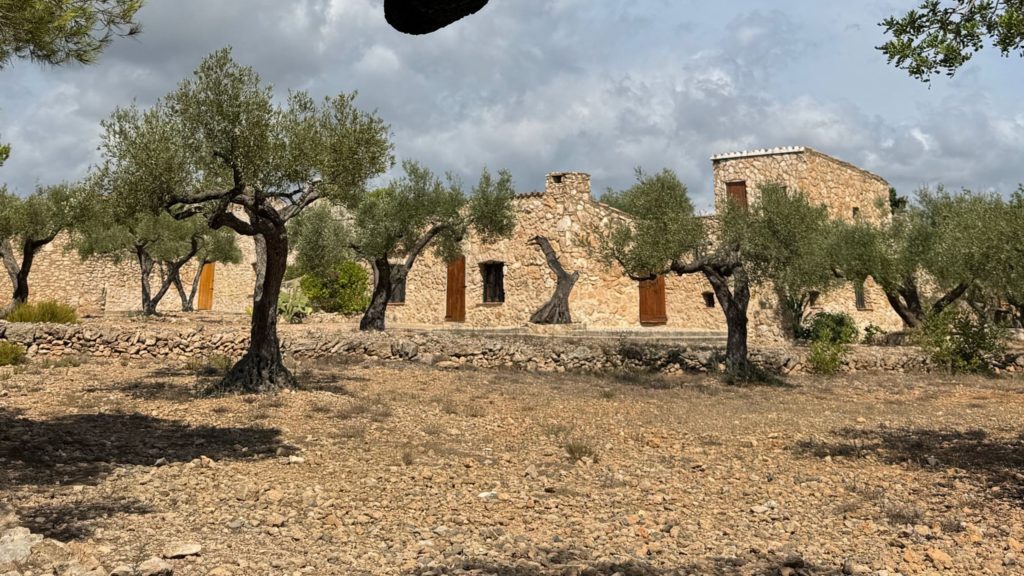 Maison en pierre sur terrain rustique parmi les oliviers près de Valence